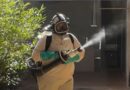 Santa Cruz tem 26 casos de dengue, a maioria no Centro e Eldorado; limpe seu quintal