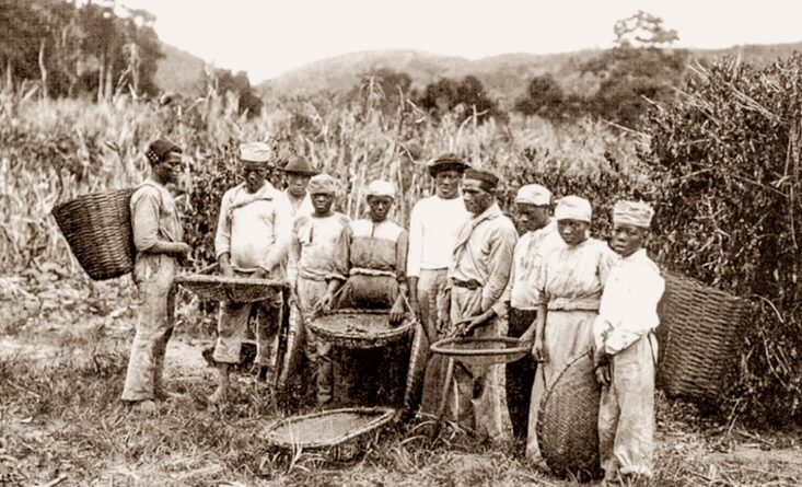 Celso e Junko Sato Prado – A Abolição da Escravatura – Santa Cruz do Rio Pardo